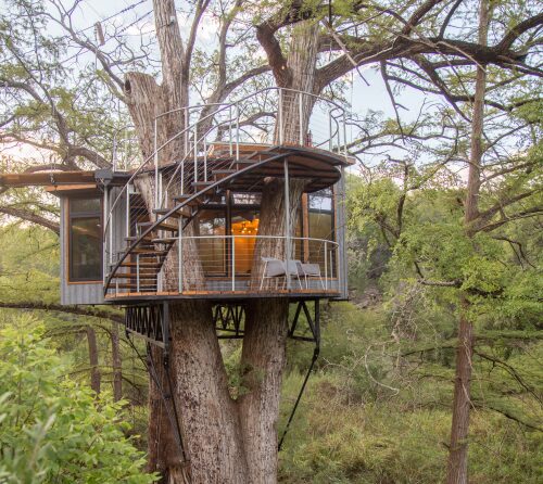 http://Yoki%20Forest%20Croft%20%20MG%203942%20HDR%201